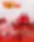 Individuelle App und Webentwicklung für Union Berlin